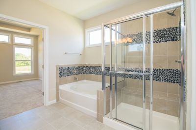 Stylish Shower Door